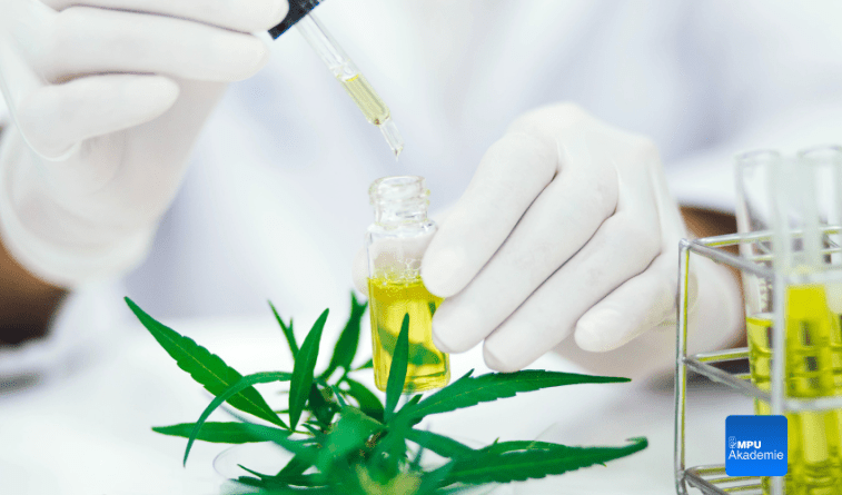 MPU Abstinenznachweis verkürzen